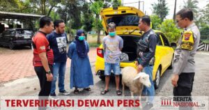 Pemilik Warung Sate Kambing Di Bondowoso Mencuri Kambing