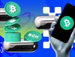 Analisis Ini Ungkap Harga Bitcoin Cash (BCH) Bisa Pulih 24%