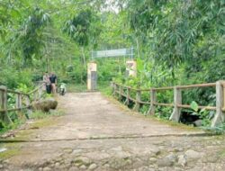 Jembatan Sumberpandan Desa Gelang Kabupaten Jember Putus Tapi Masih Dilewati Anak-anak Sekolah – BeritaNasional.ID