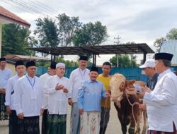 Kurban Idul Adha 1445 H, Pemkab dan Korpri Situbondo Potong 41 Ekor Sapi – BeritaNasional.ID