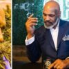 3 Alasan Mike Tyson Membangun Bisnis Ganja, dari Hobi hingga Cuan Besar