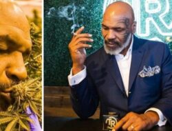 3 Alasan Mike Tyson Membangun Bisnis Ganja, dari Hobi hingga Cuan Besar