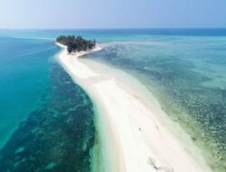 5 Pantai Pasir Putih Terindah di Maluku Utara, Nomor 2 Air Lautnya Sebening Kristal