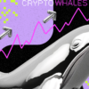 3 Altcoin Incaran Crypto Whale untuk Potensi Profit September