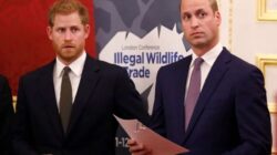 10 Fakta Hubungan Pangeran William dan Harry, dari Keluarga hingga Persaingan Saudara