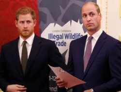 10 Fakta Hubungan Pangeran William dan Harry, dari Keluarga hingga Persaingan Saudara