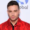 Liam Payne Pakai Obat yang Menyebabkan Halusinasi sebelum Jatuh dari Balkon