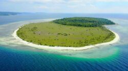 12 Pulau di Indonesia dengan Nama Hewan, Nomor 3 Dihuni Ratusan Ular Laut