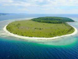 12 Pulau di Indonesia dengan Nama Hewan, Nomor 3 Dihuni Ratusan Ular Laut