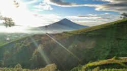 20 Rekomendasi Tempat Wisata di Garut, Diselimuti Udara Sejuk dan Dingin