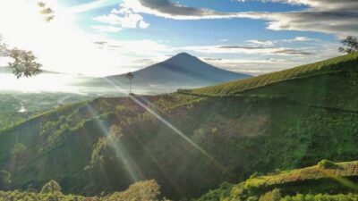 20 Rekomendasi Tempat Wisata di Garut, Diselimuti Udara Sejuk dan Dingin