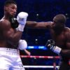 Anthony Joshua Diultimatum 48 Jam Terima Atau Tolak Duel Ulang Daniel Dubois