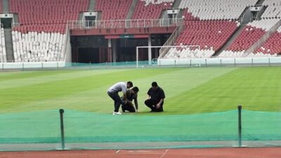 Bagaimana Kondisi Rumput Stadion GBK Jelang Timnas Indonesia vs Jepang?