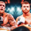 Jake Paul Akan Hancur jika Melawan Canelo Alvarez