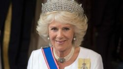 Ratu Camilla Simpan Dendam Mendalam pada Pangeran Harry, Hubungan Memburuk