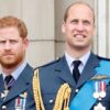 Pangeran William dan Harry Diperlakukan Biadab, Ratu Camilla Merasa Kasihan