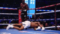 Kebangkitan Luar Biasa Daniel Dubois