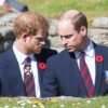 Sikap Pangeran William ke Harry Semakin Keras, Sudah Sangat Benci